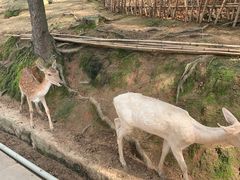 -云南野生动物园