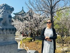 -迎泽公园