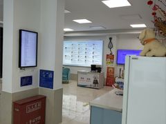 -北京观赏动物医院·24小时大型综合·猫专科·异宠专科