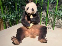 -深圳博物馆历史民俗馆