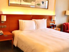 -上海浦东康桥绿地假日酒店