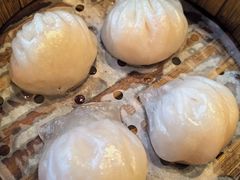 虾饺皇-新南华大酒店(长寿店)