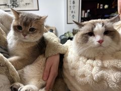 -壹笑茶庄