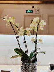 -菊子小颜·日式整骨·产后管理