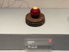 -广西壮族自治区博物馆