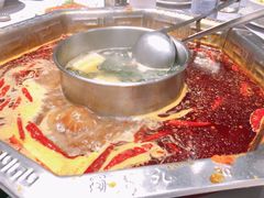 -蜀九香火锅(九眼桥店)