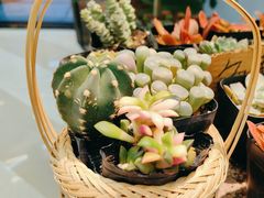 -BOBLOOM花店(宝龙旭辉广场店)