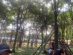 -草根堂农场