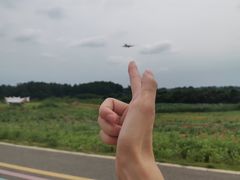 -空港花田景区