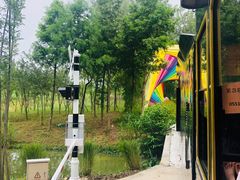 -合肥滨湖国家森林公园