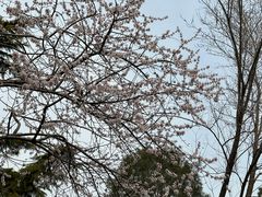 -北京奥林匹克公园