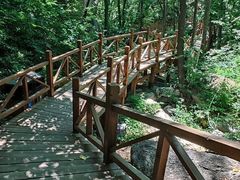 -大岭沟猕猴桃谷风景区