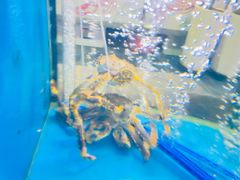 -鲜味食族水产·海鲜餐厅