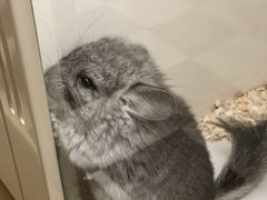 -龙猫仔乐园(惠福东路店)