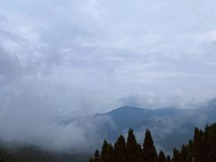 -钟鼎寺