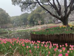 -无锡梅园公园