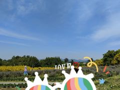 -紫颐香薰山谷景区