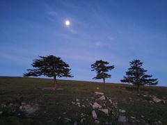 -芦芽山旅游度假区