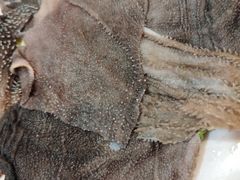 -重庆风光老灶火锅城(同德广场店)