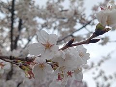 -滆湖低碳生态公园