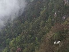 -塔云山