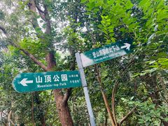 -紫金山山顶公园