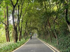 -广州雕塑公园