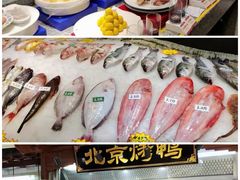 -郑庄脂渣海鲜楼(九水路店)
