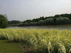 -滆湖低碳生态公园