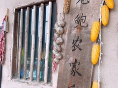 -老鲍农家乐