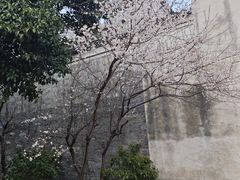-庆安会馆