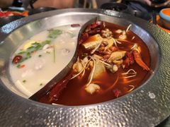 -麻田会 ·鲜活现烹·牛蛙火锅(珠江新城维家思广场店)
