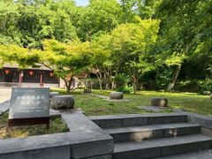 -镇江市南山风景名胜区竹林景区