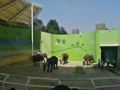 -大连森林动物园