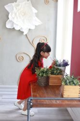 -苹果树儿童摄影工作室
