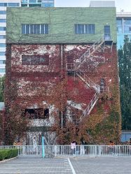 -Oasis Beauty水磨坊科技美肤中心