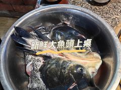 -好灶头妈妈菜·千岛湖土菜地标美食