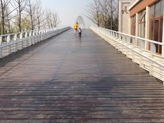 -大兴滨河森林公园