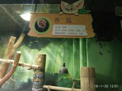 -萌宠奇缘