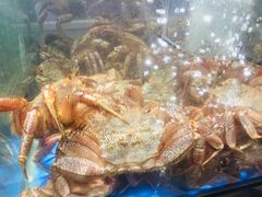 -蟹之国·精品蟹料理(极地店)