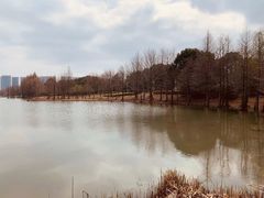 -石湖景区
