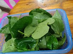 -屯昌枫木香草鸭(羊栏店)