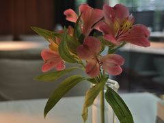-月芽·自由餐厅·西溪湿地餐厅