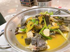黄焖鲟龙鱼-饭怕鱼·黄焖鲟龙鱼(湖大店)