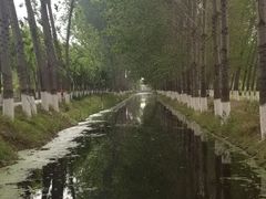 -东郊湿地公园