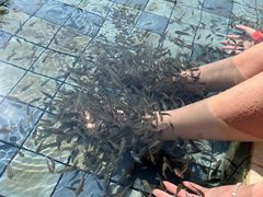 -江门古兜温泉小镇