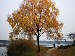 -美兰湖景区