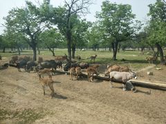 -西安秦岭野生动物园