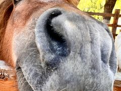 -桑干河大峡谷旅游区