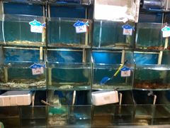 水产区-天桥饭店·特色海鲜(金山嘴渔村店)